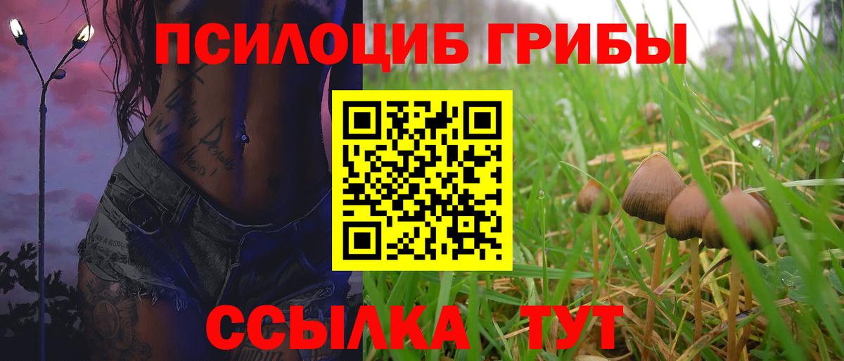 Псилоцибиновые грибы Magic Shrooms Зеленодольск